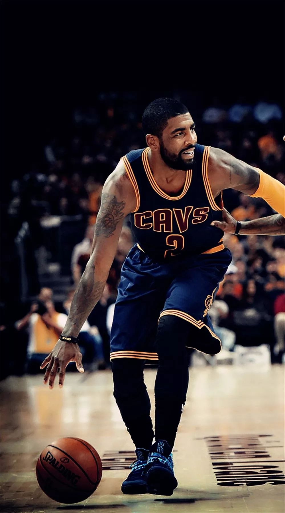 如霍伊伦类 如霍伊伦类